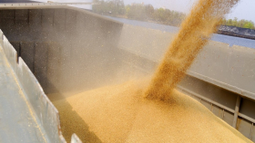 Российские эксперты объяснили вывоз ЕС зерна из Украины